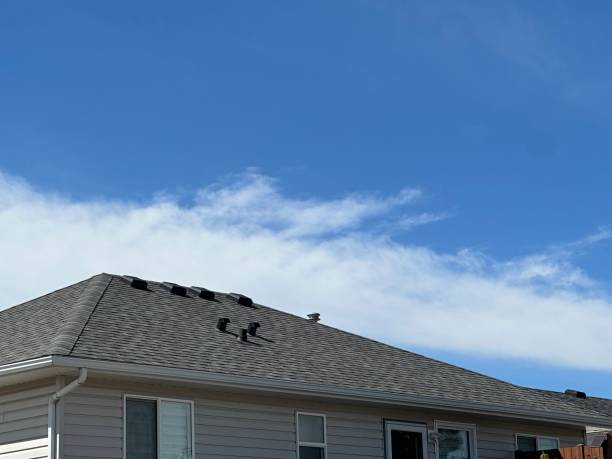 Best Sheet Metal Roofing  in Ridgeway, AK